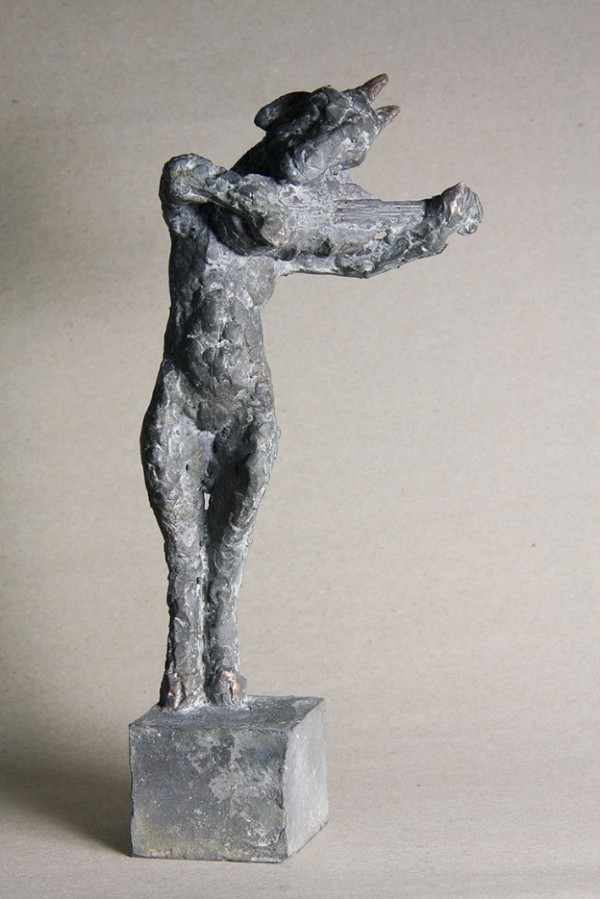 geigende Ziege by Julia Schleicher