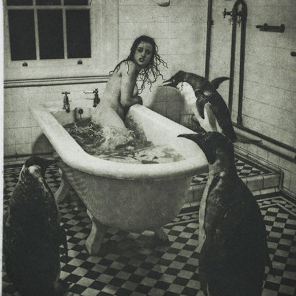 Angry Penguins by Bill Moseley
