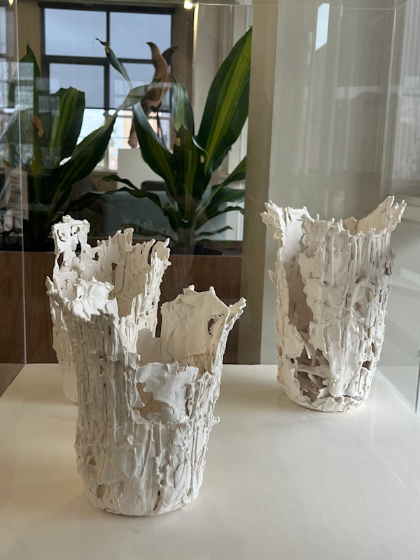 Deterioration and Degradation by Minna Leahey