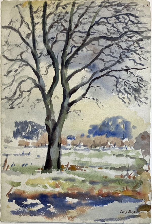 Large Shade Tree in Orchard Landscape by Tunis Ponsen