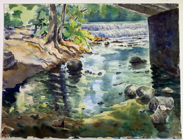Waterfall in Stream Study by Tunis Ponsen
