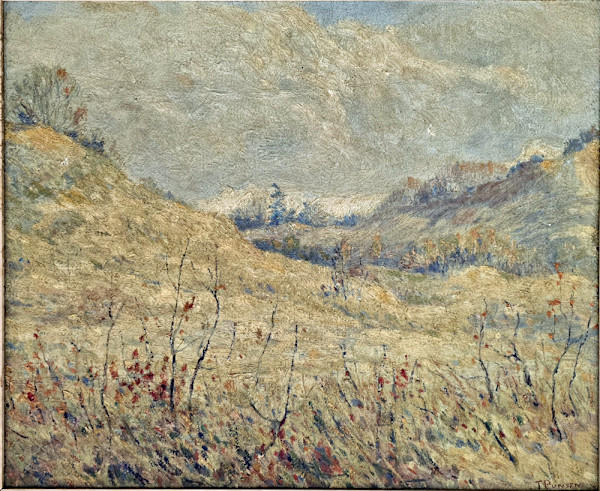 November Day on Dunes of Muskegon, Michigan by Tunis Ponsen, Image 2.