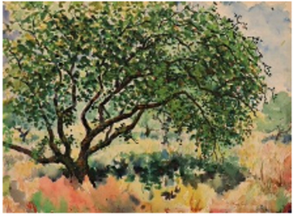 Large Apple Tree by Tunis Ponsen