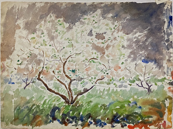 Blossoming Apple Trees in Spring by Tunis Ponsen
