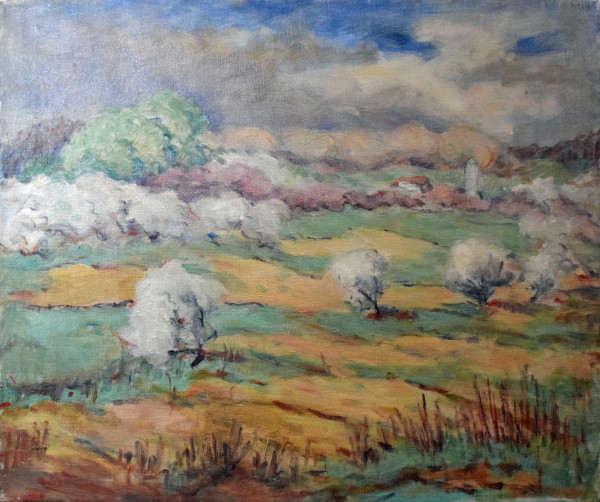 Field with Trees in Spring Blossoms (study) by Tunis Ponsen