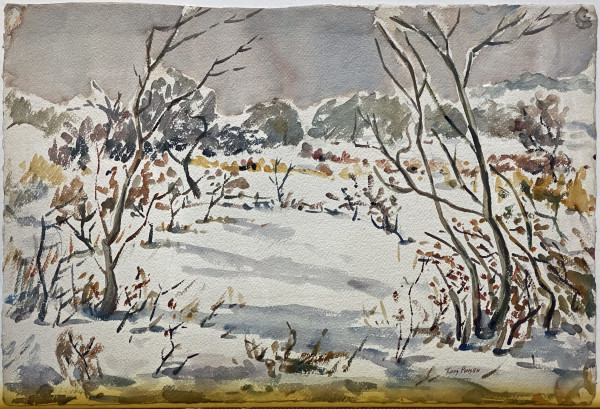 Field in Winter by Tunis Ponsen