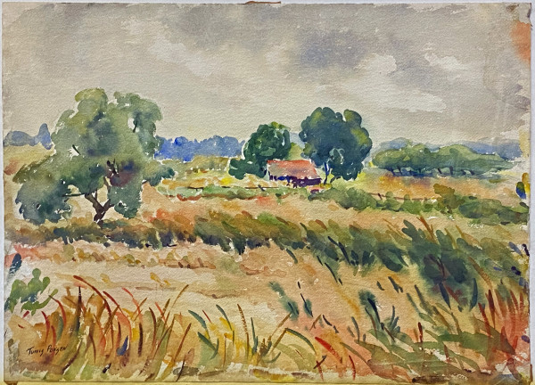 Distant Barn with Field and Trees by Tunis Ponsen