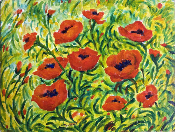 Poppies by Tunis Ponsen