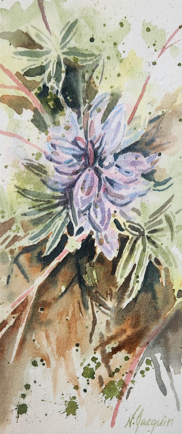 Silver Lupine by Nikki Jacquin