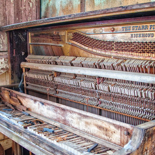 Out of Tune by Brenda Cardiff