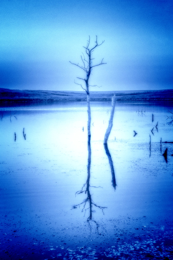 Blue by Brenda Cardiff, Image 1.