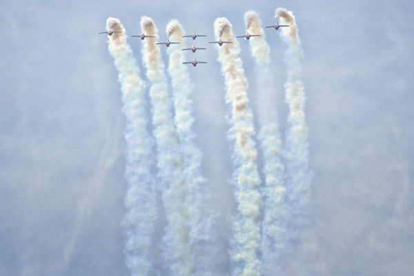 The Snowbirds by Brenda Cardiff
