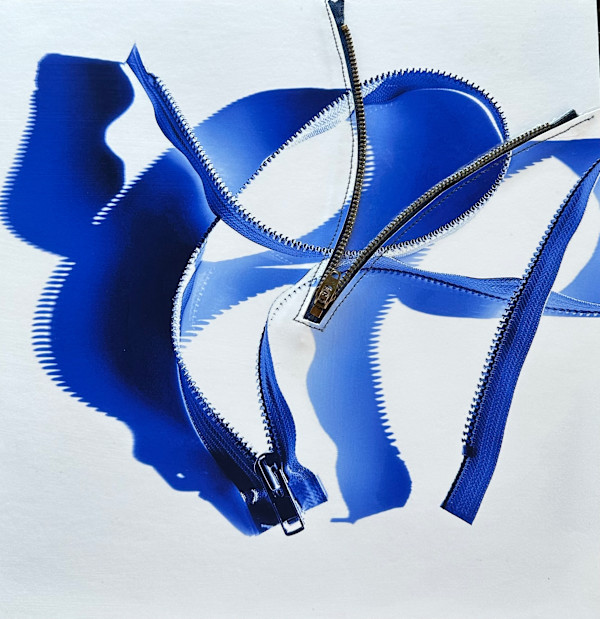 Unzipped by Brenda Cardiff, Image 1.
