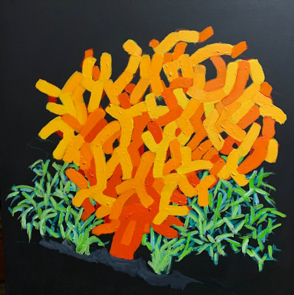 Deep Sea: Orange Coral by Doug Scott