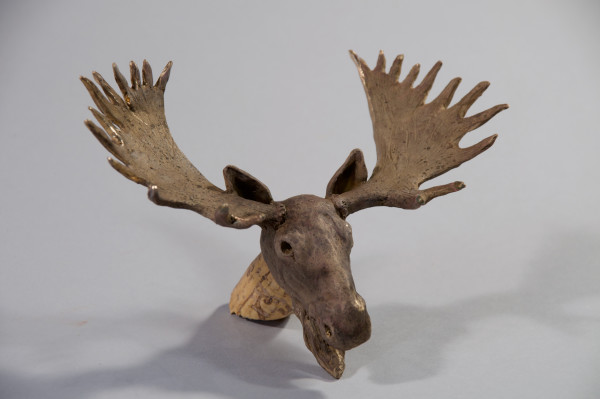 Moose Head by Dave Gejdos