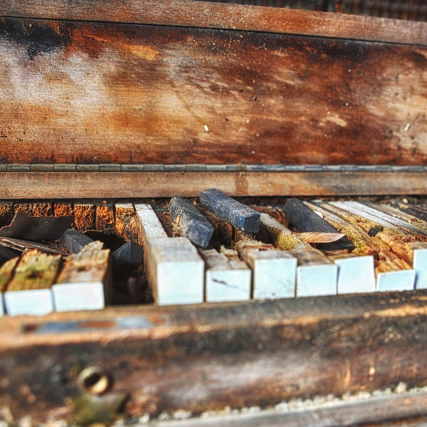 Fallen Flat by Brenda Cardiff