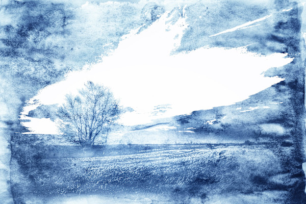 Home Without The House by Brenda Cardiff, Image 1.