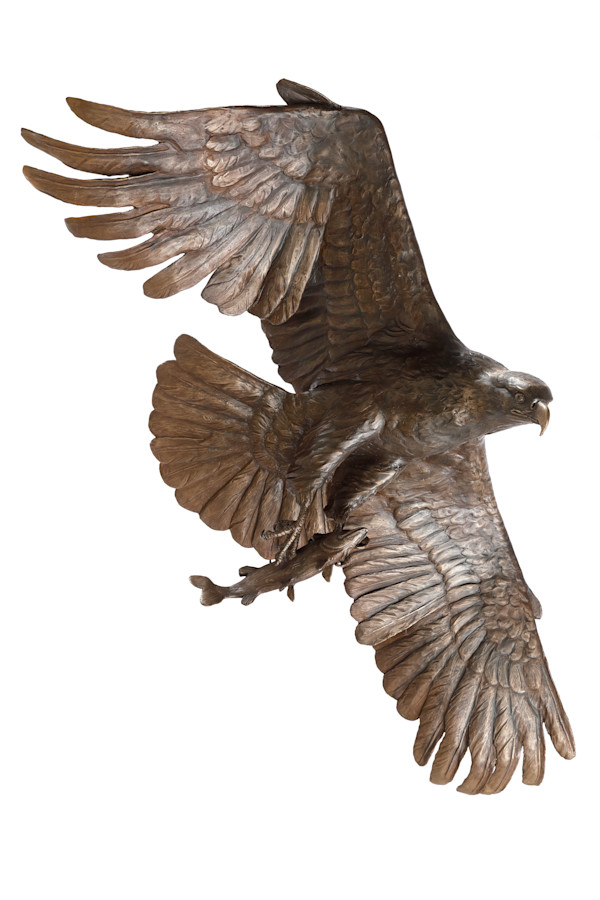 Eagle #2 of 3 by Dave Gejdos