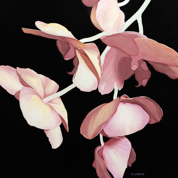 Cascading Orchids by Nanc Gordon
