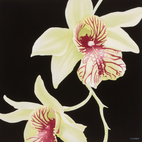 Poetic Orchid by Nanc Gordon