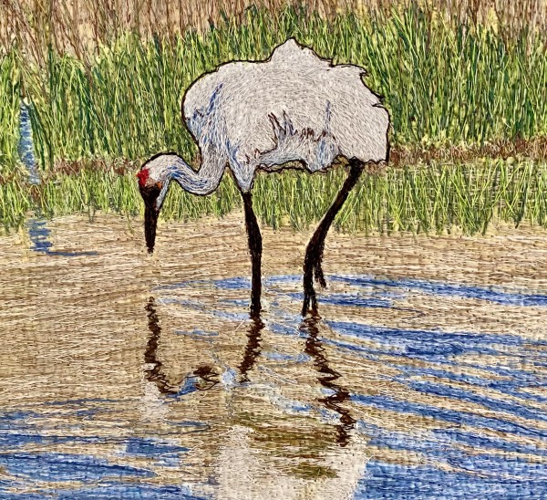 “Seeing a Ghost ...Saving a Whooping Crane”