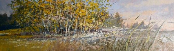 Birch Stand by Tim Eaton