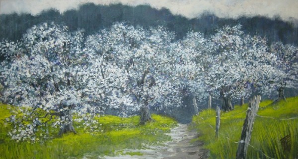 Spring Orchard
