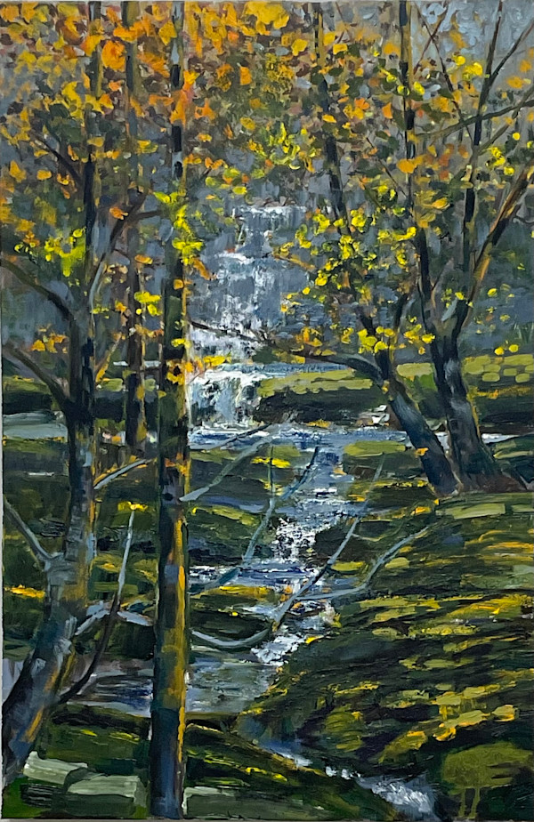 Hidden Falls by Tim Eaton