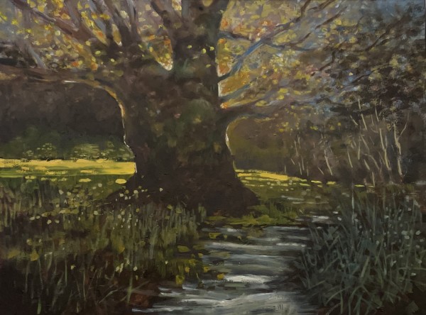 Sunlit Meadow by Tim Eaton