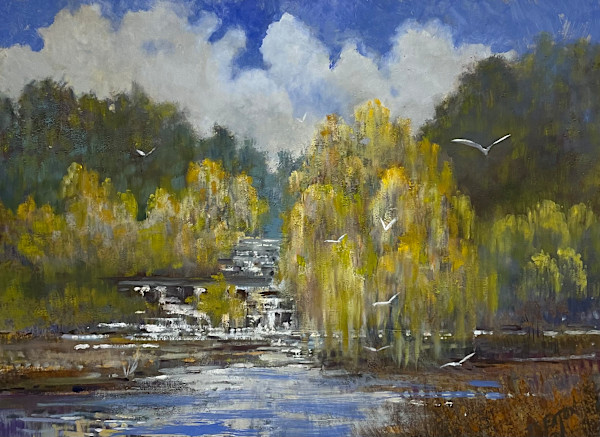 Willow Falls by Tim Eaton