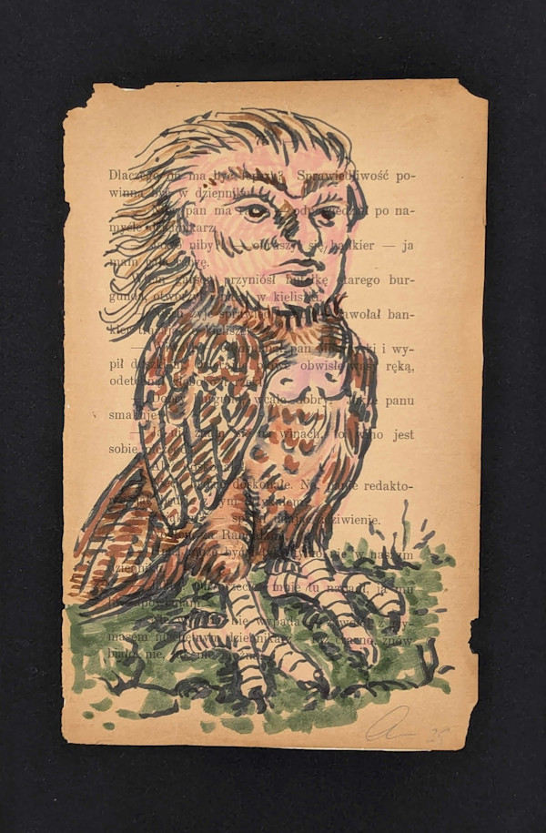 Harpy Too by annekwasner@gmail.com