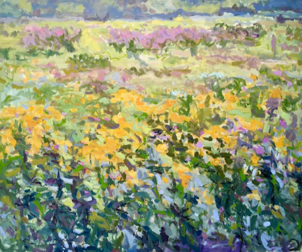 Hidden Valley, July Haze