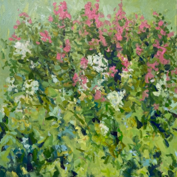 Pink and White Phlox by priscilla whitlock