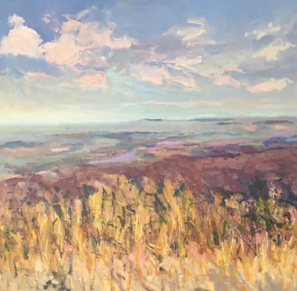 Spring,  Overlook, Shenandoah, Image 1.