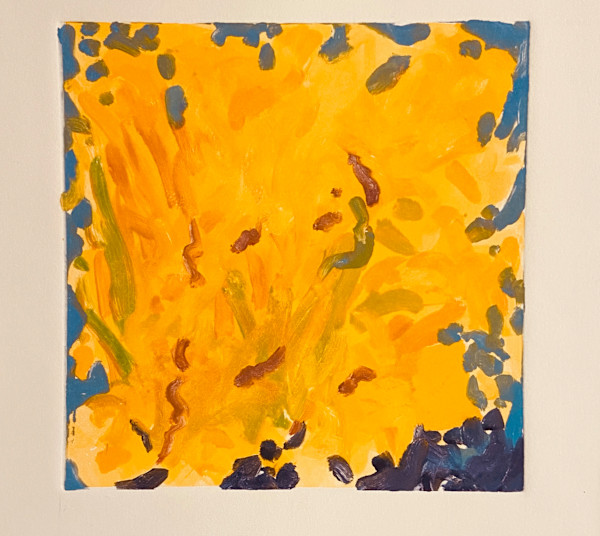 Yellows. Forsythia by priscilla whitlock, Image 1.