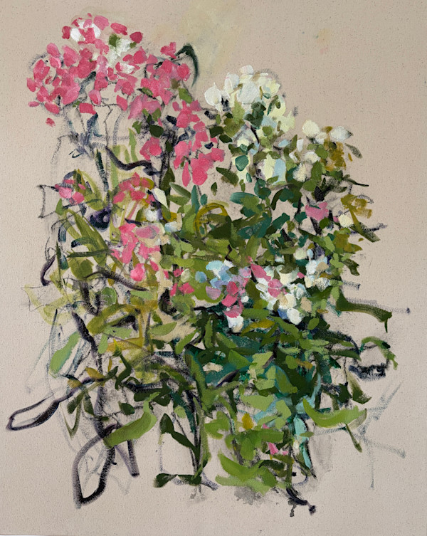 Pink and White Phlox by priscilla whitlock, Image 1.