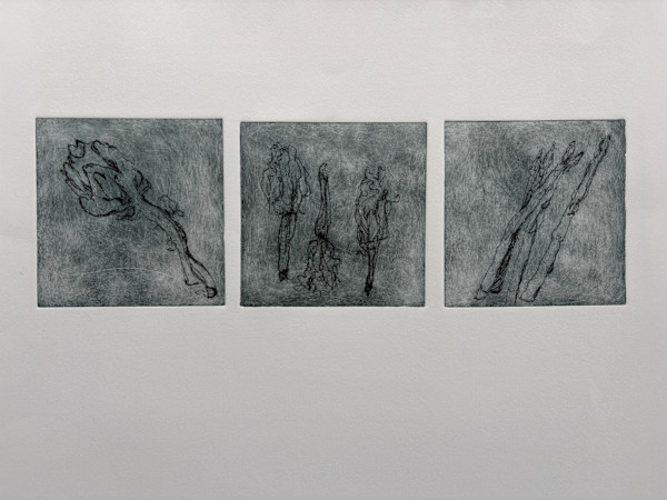 La Verdura by priscilla whitlock, Image 8.