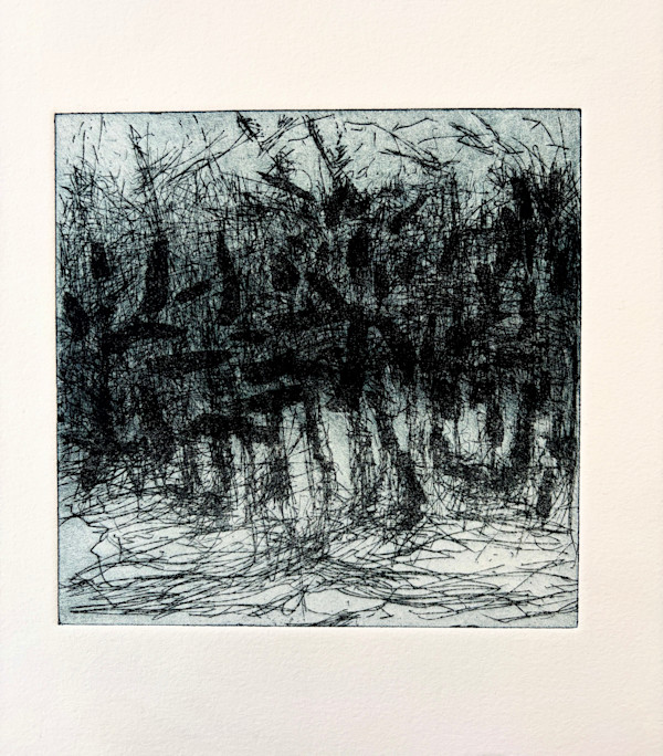 Woods by priscilla whitlock, Image 13.