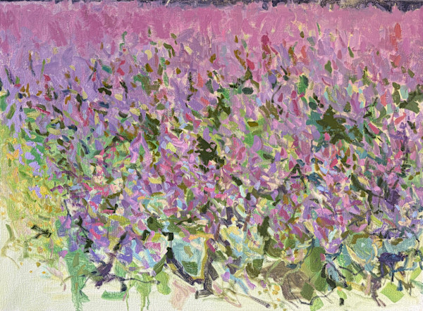 Pinks, Clary Sage by priscilla whitlock, Image 1.