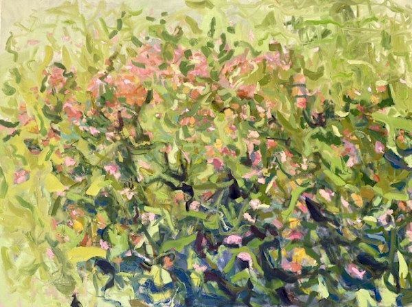 The Garden Grows by priscilla whitlock