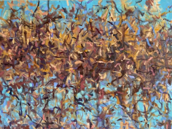 Woods, Lake by priscilla whitlock