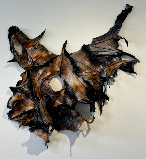cloak by Heather Baumbach, Image 1.