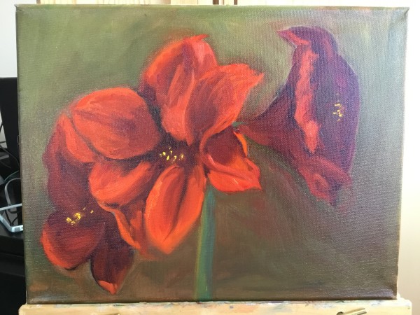 Amaryllis by pamela callen