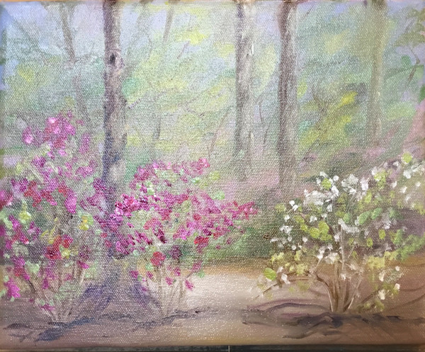 Entering Annmarie Garden by pamela callen, Image 1.