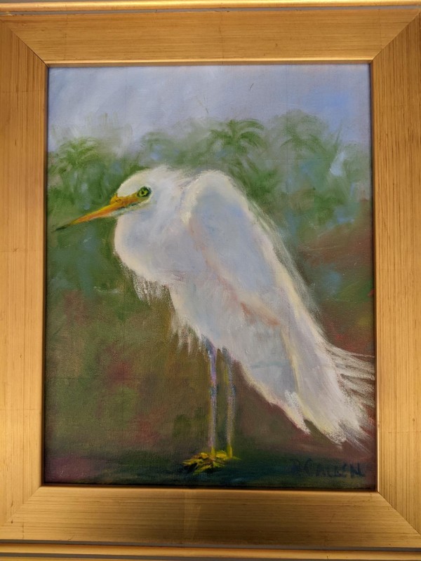 Snowy Egret by pamela callen