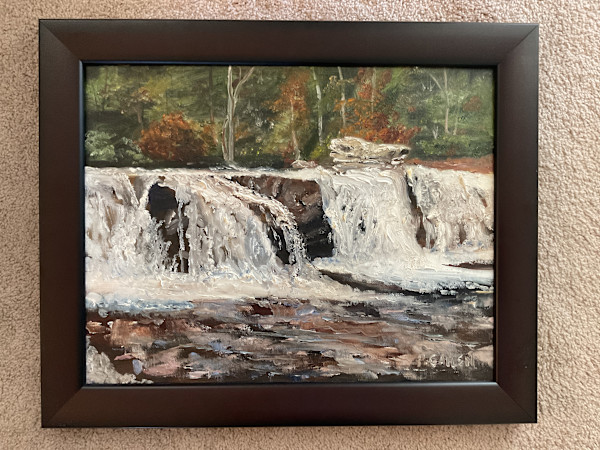 Blackwater Falls by pamela callen