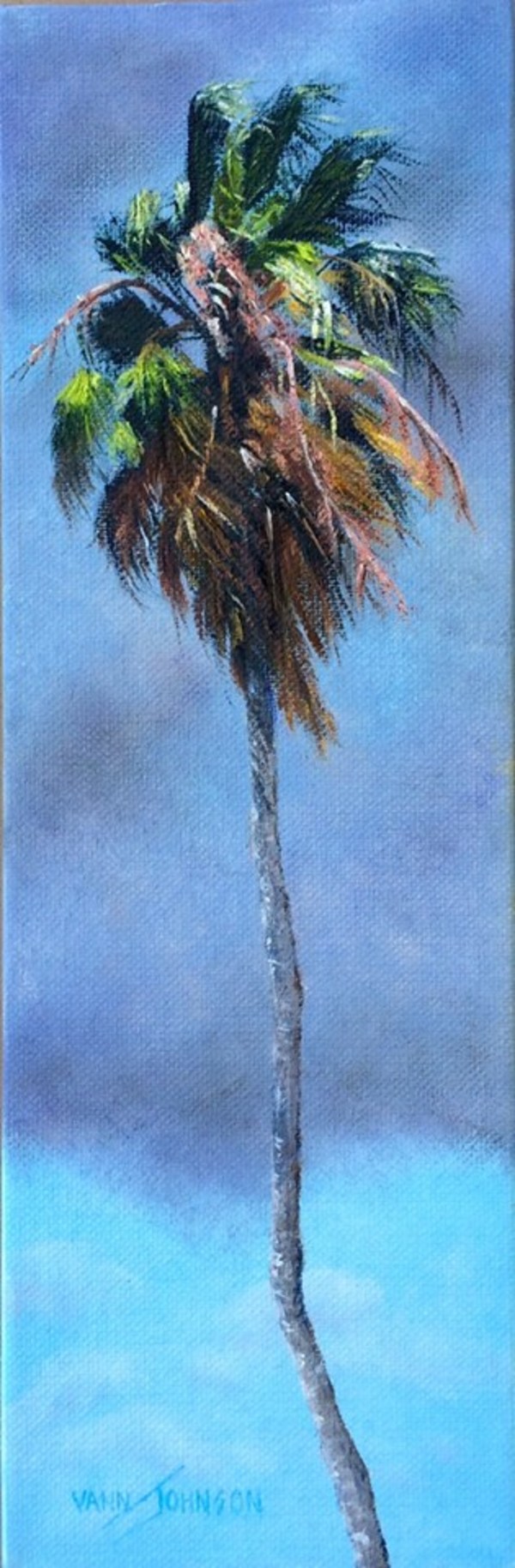 Stormy Palm 5 by Wendi Vann Johnson