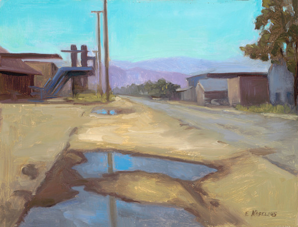 After the Rain, Bakersfield by Erica Norelius