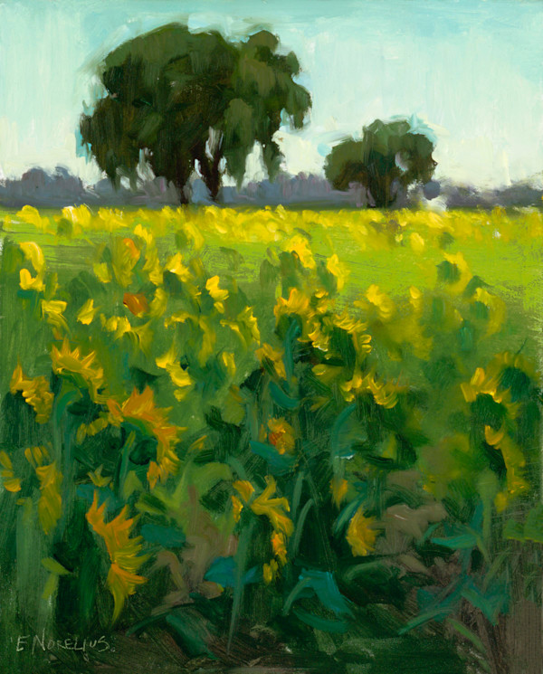 Field of Sunflowers, Plein Air by Erica Norelius