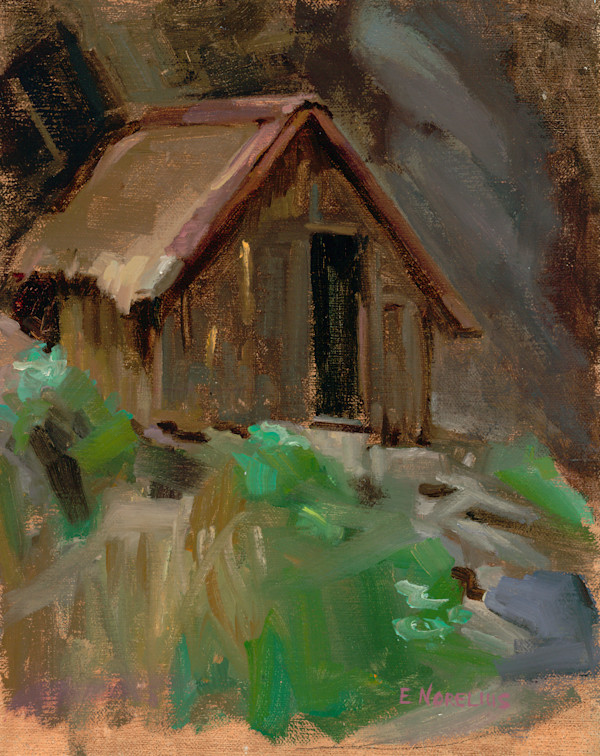 New Zealand Shed by Erica Norelius